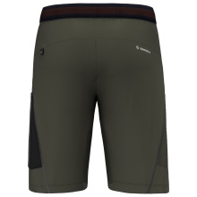 Salewa Wanderhose Short Pedroc Cargo 3 DST Outdoor (wasserabweisend, leicht) kurz olivegrün Herren