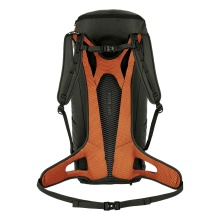 Salewa Wanderrucksack ALP Mate (Tages-Mehrtageswanderungen) dunkelolivgrün - 36 Liter