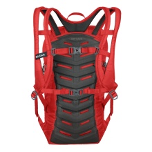 Salewa Wanderrucksack Ultra Train (Dry Back Contact-Tragesystem) flamerot - 18 Liter