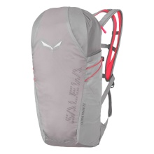 Salewa Wanderrucksack Ultra Train (Dry Back Contact-Tragesystem) hellgrau - 22 Liter