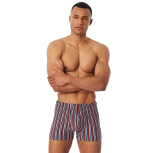 Schiesser Unterwäsche Boxershorts 95/5 Organic Cotton mehrfarbig dunkelblau/gestreift 920 Herren - 3 Stück