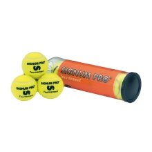 Signum Pro Tennisbälle Tournament High-Tec gelb Dose 18x4er Karton