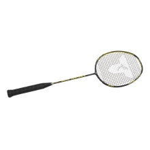 Talbot Torro Badmintonschläger IsoForce 651 (91g/ausgewogen/mittel) - besaitet -