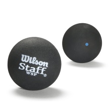 Wilson Squashball Staff (blauer Punkt, Speed schnell) schwarz <b> - 12 Bälle im Karton</b>