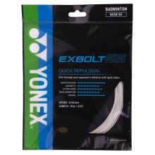 Besaitung mit Badmintonsaite Exbolt 65 (Kontrolle) weiss