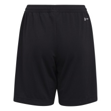 adidas Trainingshose Entrada 22 Shorts kurz schwarz Jungen