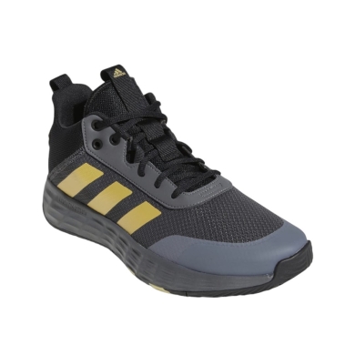 adidas Hallen-Indoorschuhe Ownthegame 2.0 graphitegrau/gold/schwarz Herren