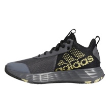 adidas Hallen-Indoorschuhe Ownthegame 2.0 graphitegrau/gold/schwarz Herren