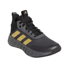 adidas Hallen-Indoorschuhe Ownthegame 2.0 graphitegrau/gold/schwarz Kinder