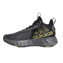 adidas Hallen-Indoorschuhe Ownthegame 2.0 graphitegrau/gold/schwarz Kinder