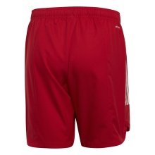 adidas Sporthose Condivo 20 Short (leicht, feuchtigkeitsabsorbierend) kurz rot Herren