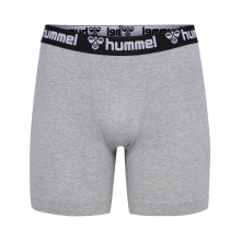 hummel Unterwäsche Boxershort hmlBoxer (Baumwolle) grau Herren - 2er Pack