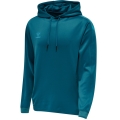 hummel Sport-Kapuzenpullover hmlCORE XK Poly Sweat Hoodie (Polyester-Sweatstoff) mit Kapuze coralblau Herren