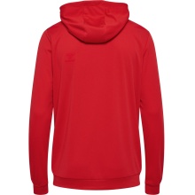 hummel Sport-Kapuzenjacke hmlAUTHENTIC PL Zip Hoodie (100% rec. Polyester) rot Herren