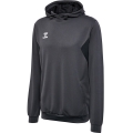 hummel Sport-Kapuzenpullover hmlAUTHENTIC PL Hoodie (mit Reißverschlusstaschen) asphaltgrau Herren