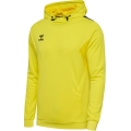 hummel Sport-Kapuzenpullover hmlAUTHENTIC PL Hoodie (mit Reißverschlusstaschen) gelb Herren