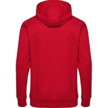 hummel Kapuzenpullover hmlGO 2.0 Logo Hoodie (weicher Sweatstoff) rot Herren