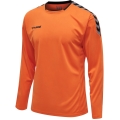 hummel Sport-Langarmshirt hmlAUTHENTIC Poly Jersey (leichter Jerseystoff) orange Herren