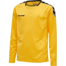 hummel Sport-Langarmshirt hmlAUTHENTIC Poly Jersey (leichter Jerseystoff) gelb/schwarz Kinder