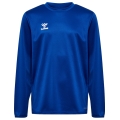 hummel Sport-Langarmshirt hmlESSENTIAL Sweatshirt (Interlock-Stoff) dunkelblau Kinder