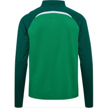 hummel Langarmshirt hmlLEAD 2.0 Half Zip (rec. Polyester, hohe Atmungsaktivität) grün Herren