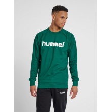 hummel Pullover Basic hmlGO Cotton Sweatshirt Big Logo (Baumwolle) dunkelgrün Herren