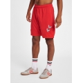 hummel Sporthose hmlLEAD Poly Shorts (Mesh-Stoff) Kurz rot Herren