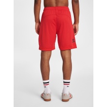 hummel Sporthose hmlLEAD Poly Shorts (Mesh-Stoff) Kurz rot Herren