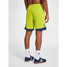 hummel Sporthose hmlLEAD Poly Shorts (Mesh-Stoff) Kurz limegrün Herren