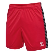 hummel Sporthose hmlAUTHENTIC PL Shorts (100% Polyester) kurz rot Herren