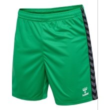 hummel Sporthose hmlAUTHENTIC PL Shorts (100% Polyester) kurz grün Herren