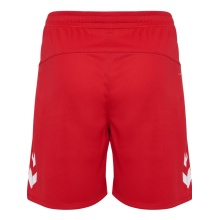 hummel Sporthose hmlLEAD 2.0 Shorts (rec. Polyester, schnelltrocknend) kurz rot Herren