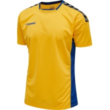 hummel Sport-Tshirt hmlAUTHENTIC Poly Jersey (leichter Jerseystoff) Kurzarm gelb/blau Herren