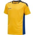 hummel Sport-Tshirt hmlAUTHENTIC Poly Jersey (leichter Jerseystoff) Kurzarm gelb/blau Kinder