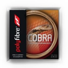 Besaitung mit Polyfibre Cobra