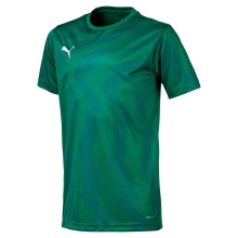 Puma Sport-Tshirt Cup Jersey Core grün Jungen