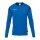 uhlsport Langarmshirt Squad 27 (100% Polyester) azurblau/marineblau Herren